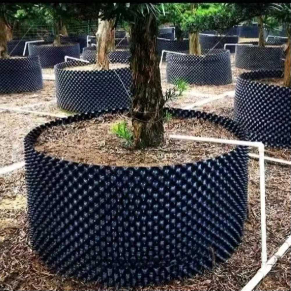 Bonsai Garden Nursery - Maceta de cultivo para árboles, bonsáis