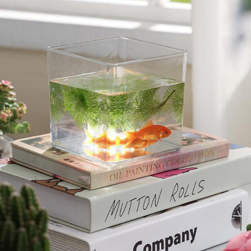 Bonsai Garden Nursery - Macetas cuadradas/redondas transparentes de acrílico para
