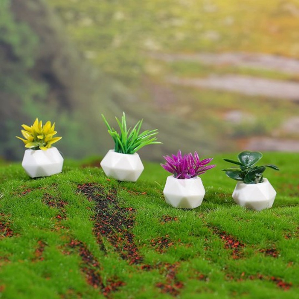 Bonsai Garden Miniature - Planta en maceta en miniatura para