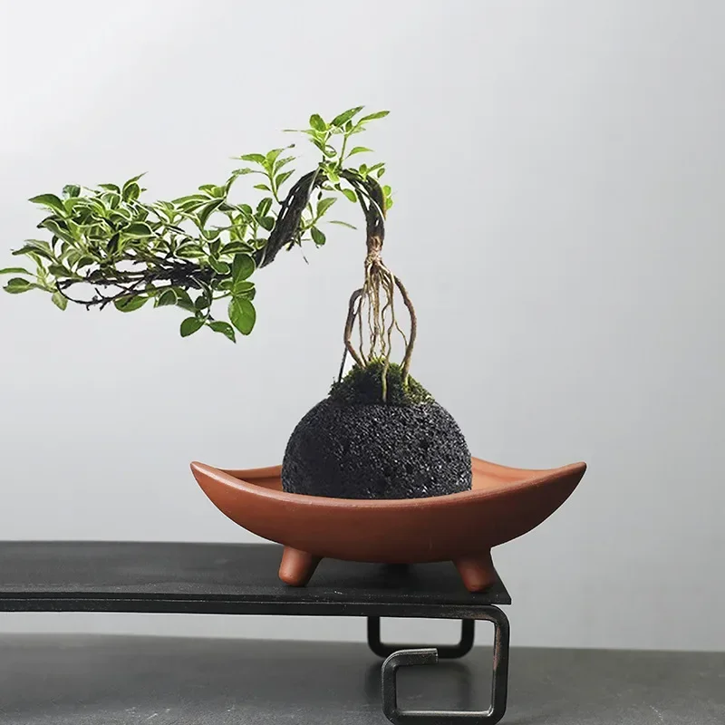 Japanese Garden Bonsai - Macetas de cerámica personalizadas para interior