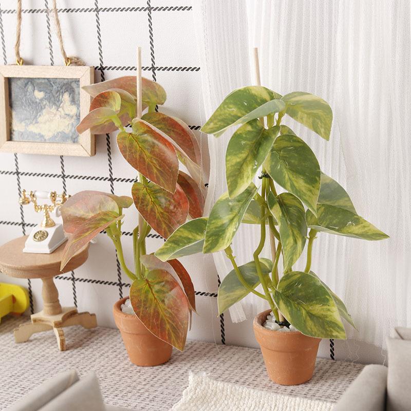 Plantas Verdes de Simulación 1 - Bonsai Garden Europe reseña y precio