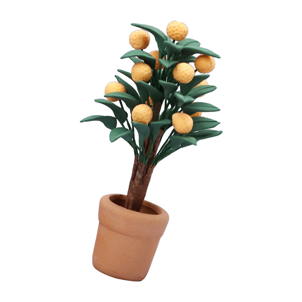 Árbol de Kumquat en Miniatura, - Bonsai Garden Europe reseña y precio