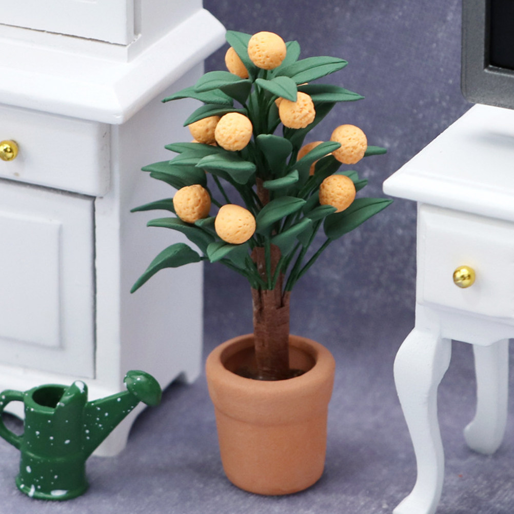 Árbol de Kumquat en Miniatura, - Bonsai Garden Europe reseña y precio