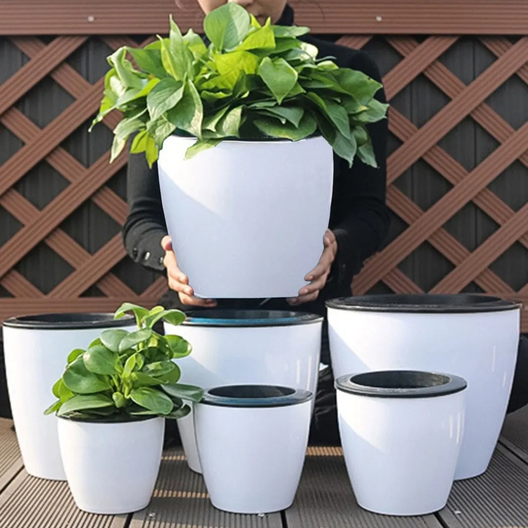 Maceta perezosa para plantas c - Bonsai Garden Nursery reseña y precio