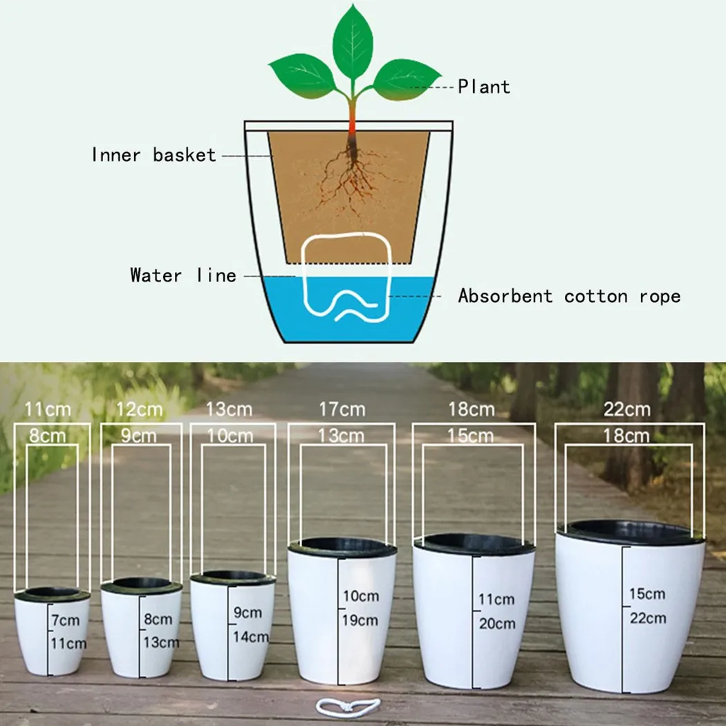 Maceta perezosa para plantas c - Bonsai Garden Nursery reseña y precio