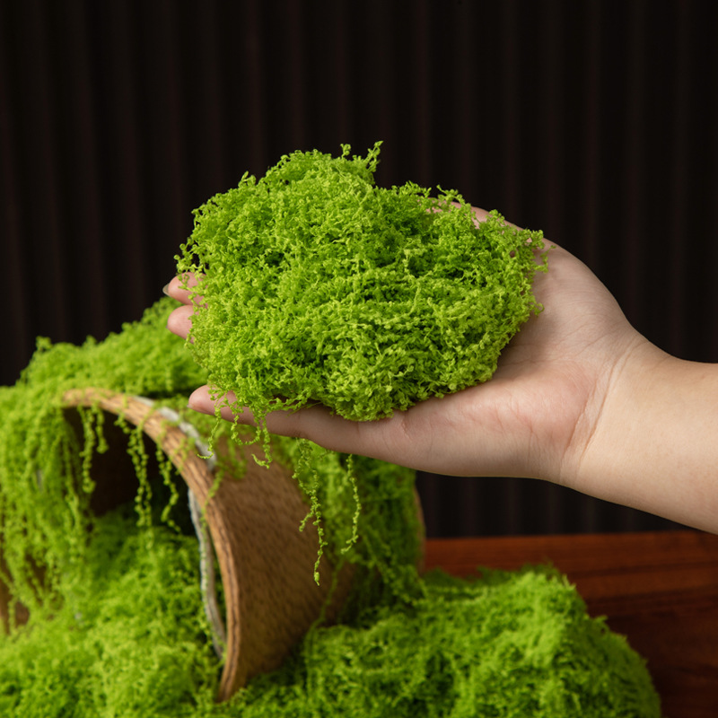 Musgo Eterno de 200g para Manu - Bonsai Garden Home reseña y precio