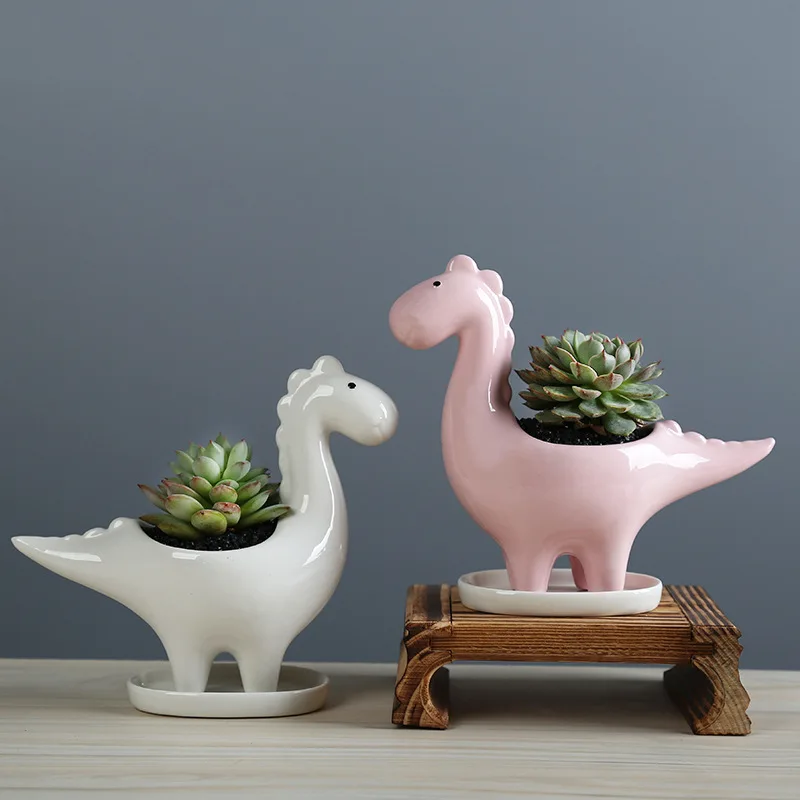 Macetero de dinosaurio de dibu - Japanese Garden Bonsai reseña y precio