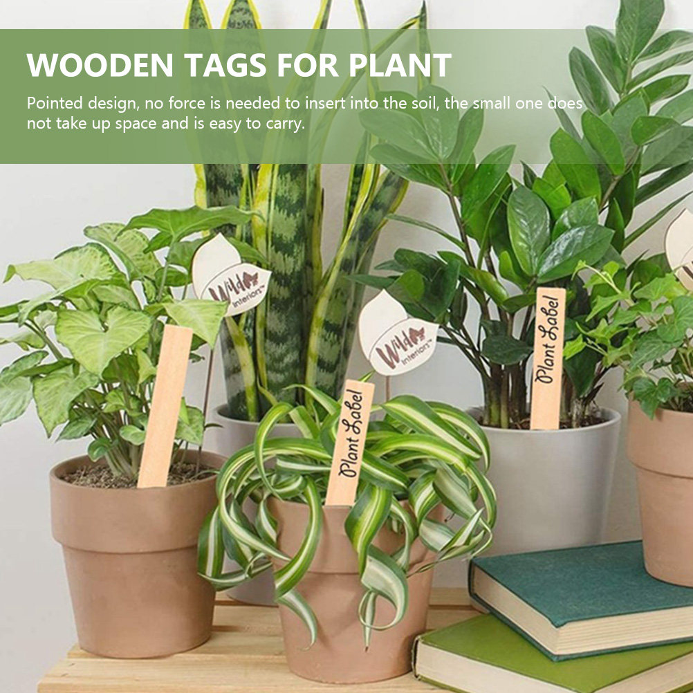 50 Etiquetas de Madera para Pl - Bonsai Garden Nursery reseña y precio