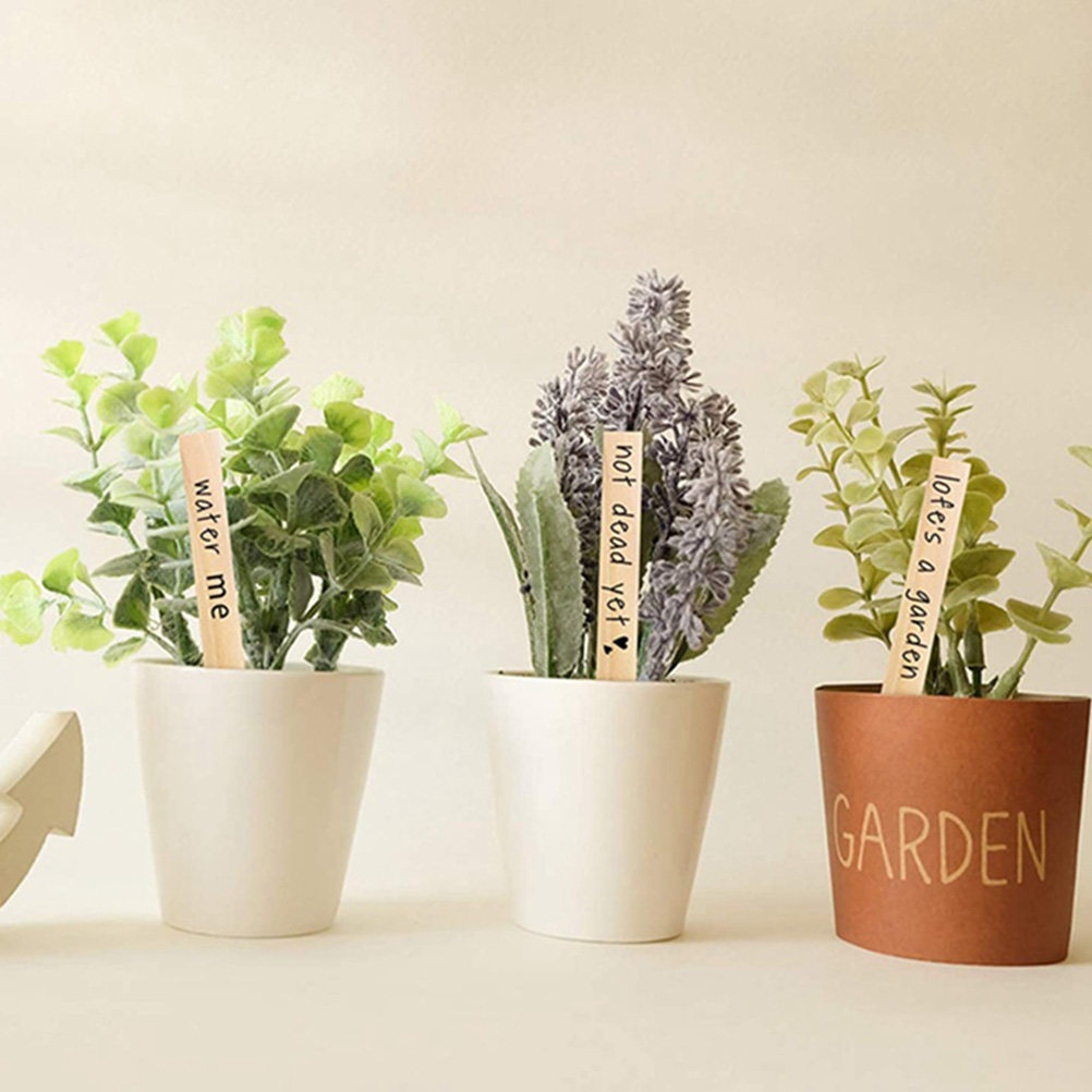 50 Etiquetas de Madera para Pl - Bonsai Garden Nursery reseña y precio