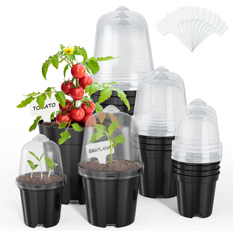 Macetas para Viveros, Macetas  - Bonsai Garden Nursery reseña y precio