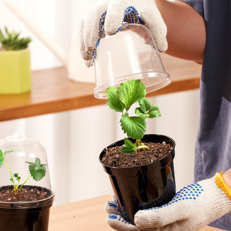 Macetas para Viveros, Macetas  - Bonsai Garden Nursery reseña y precio
