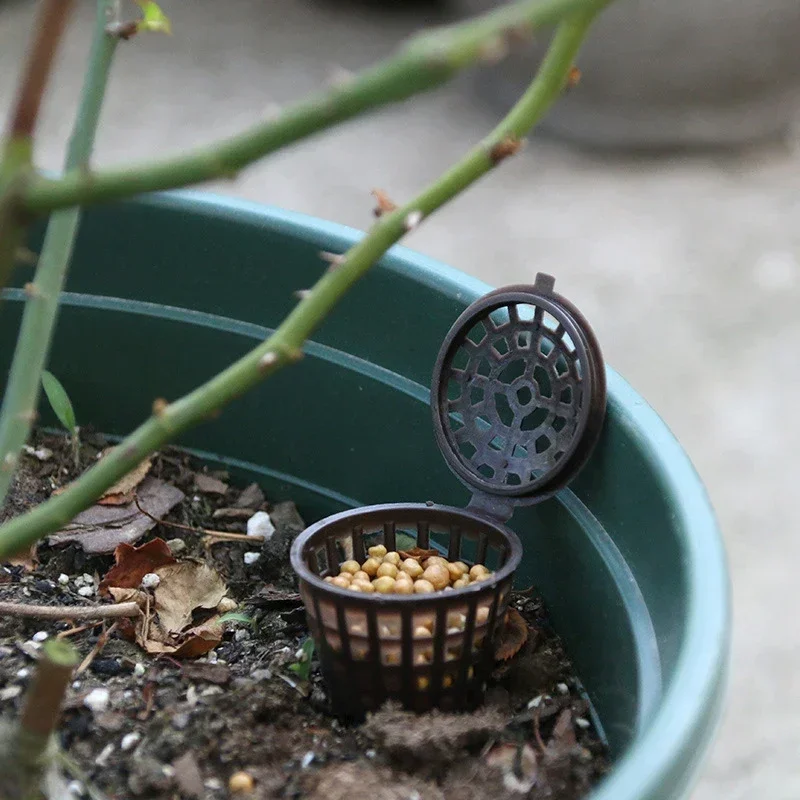 100 Pc plástico jardín bonsái  - Bonsai Garden Nursery reseña y precio