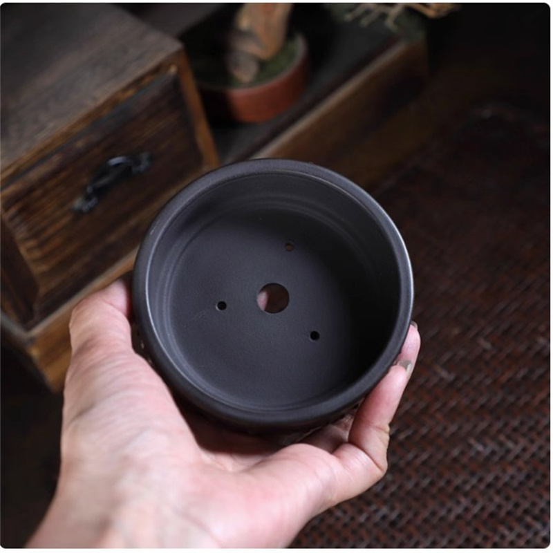Maceta de bonsái redonda de ce - Bonsai Repotting Mat reseña y precio