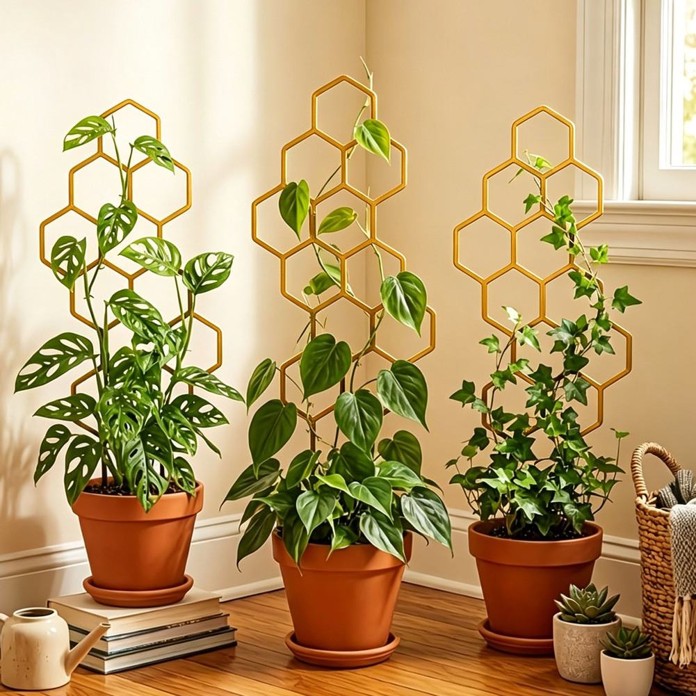 Para Decoración Interior, Marc - Bonsai Garden Design reseña y precio