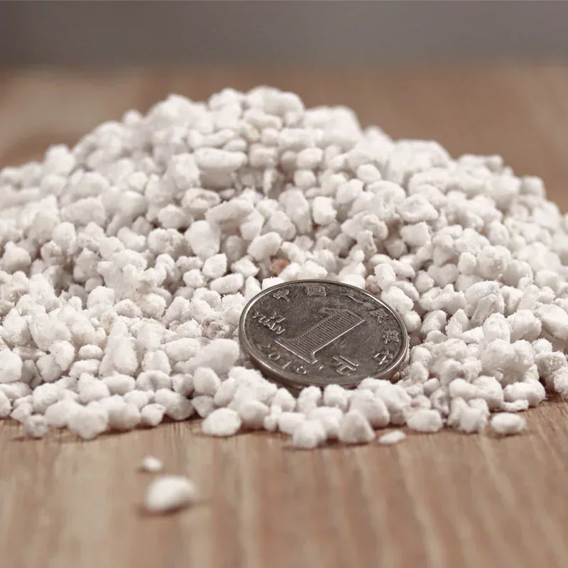 Pellet de perlita de 1L/2L, co - Bonsai Garden Nursery reseña y precio