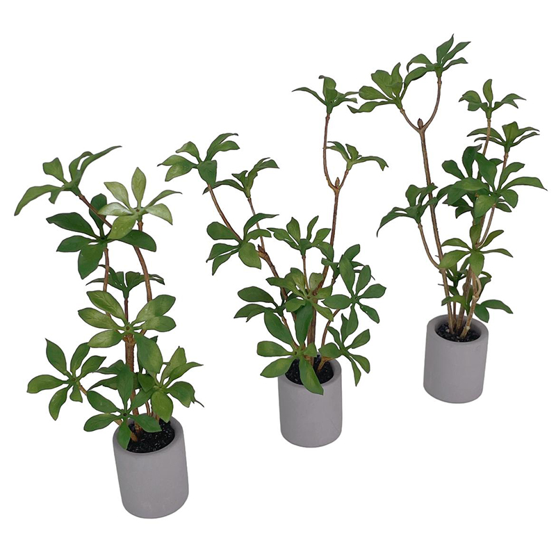 Planta en maceta en miniatura  - Bonsai Garden Miniature reseña y precio
