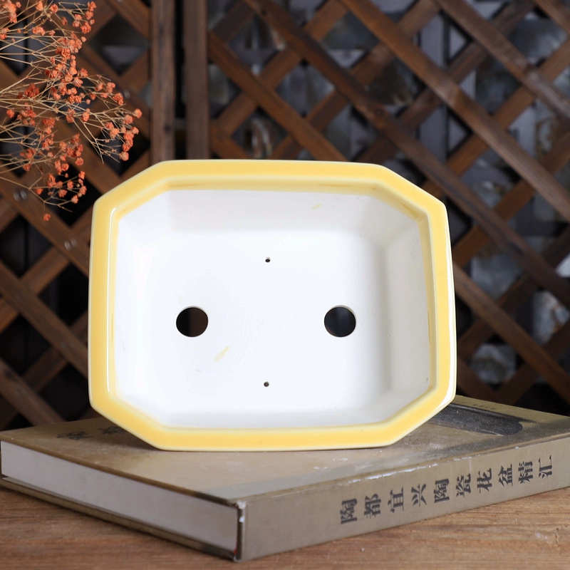 Maceta para bonsái rectangular - Bonsai Garden Nursery reseña y precio