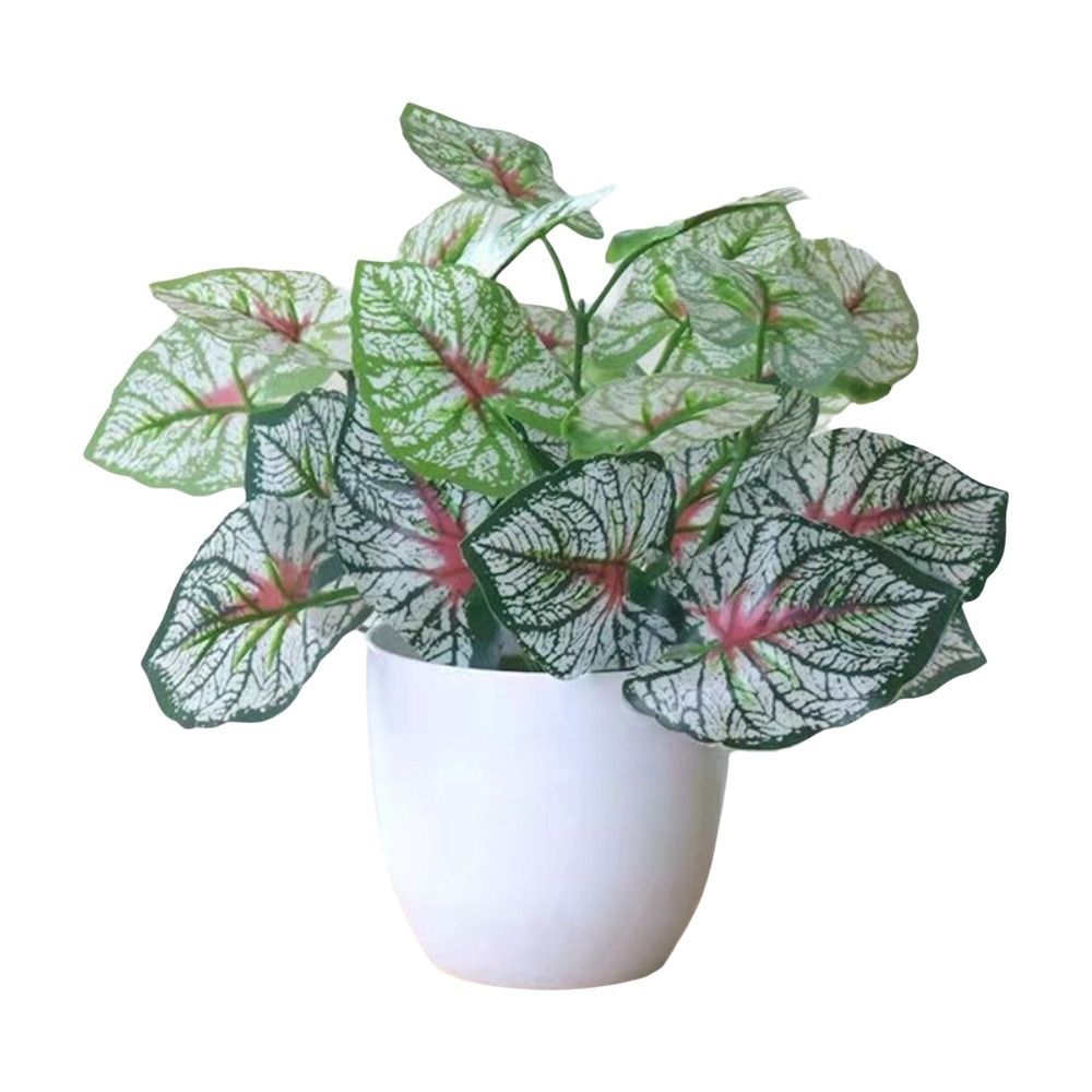 Mini Flores Artificiales en Ma - Bonsai Repotting Mat reseña y precio
