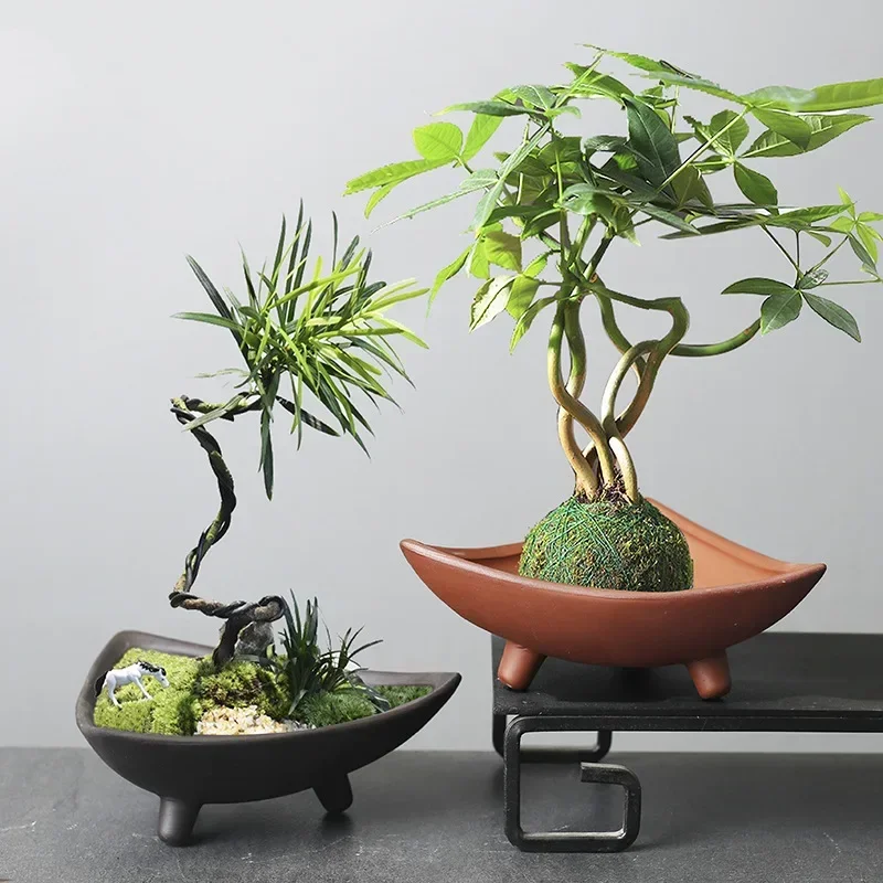 Macetas de cerámica personaliz - Japanese Garden Bonsai reseña y precio