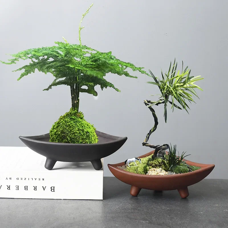 Macetas de cerámica personaliz - Japanese Garden Bonsai reseña y precio