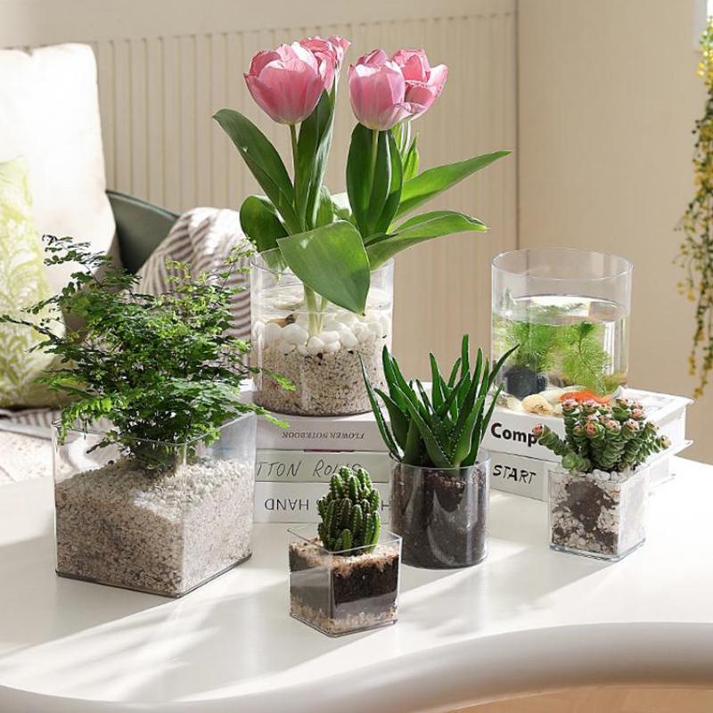 Macetas cuadradas/redondas tra - Bonsai Garden Nursery reseña y precio