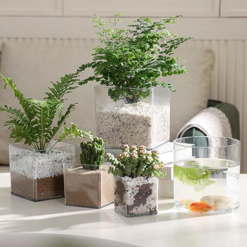 Macetas Cuadradas y Redondas d - Bonsai Garden Nursery reseña y precio