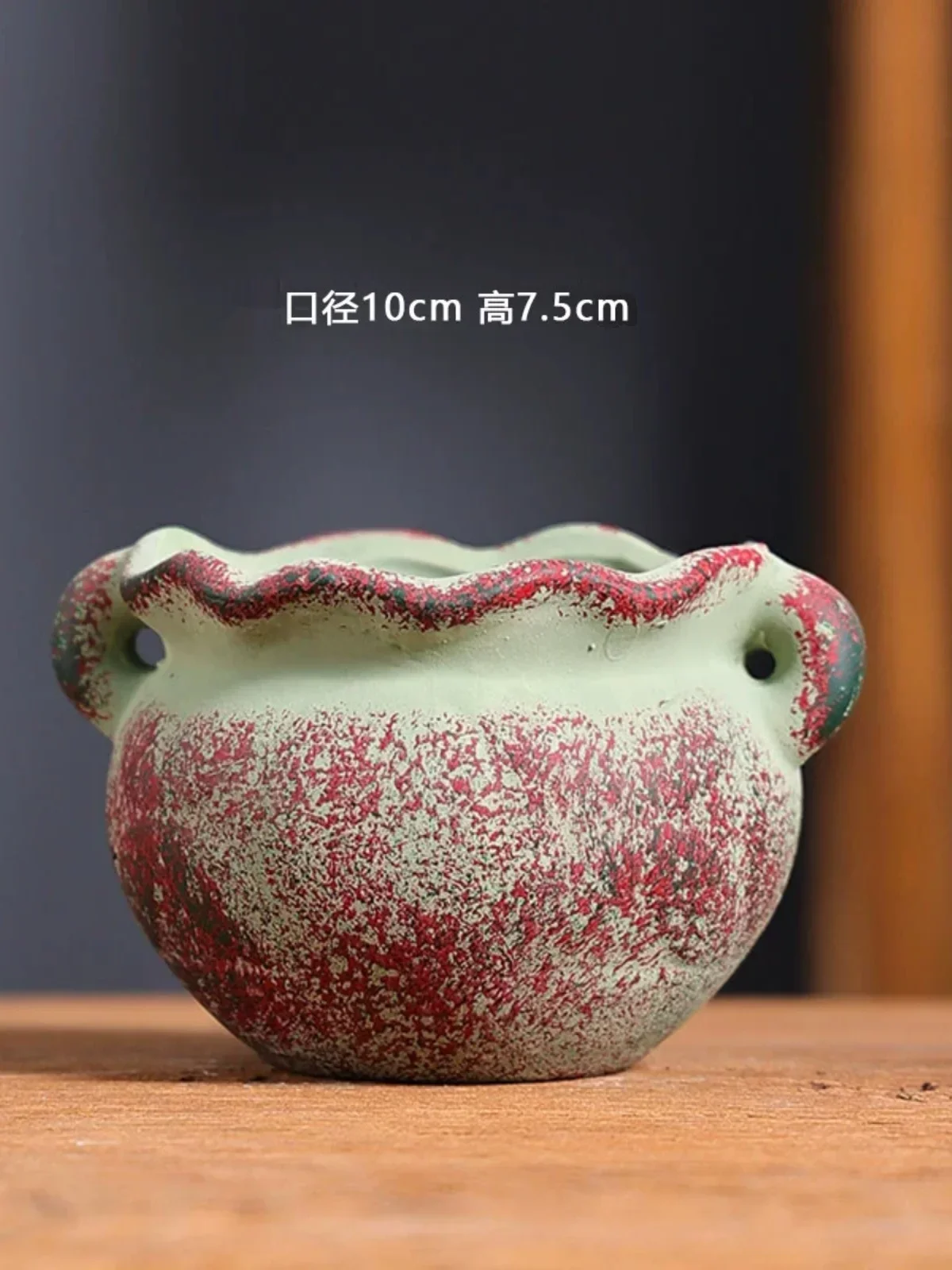 Macetas de flores suculentas m - Japanese Garden Bonsai reseña y precio