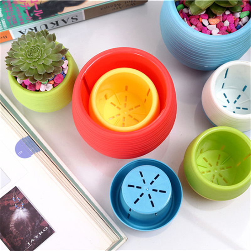 Mini macetas de plástico para  - Bonsai Garden Nursery reseña y precio