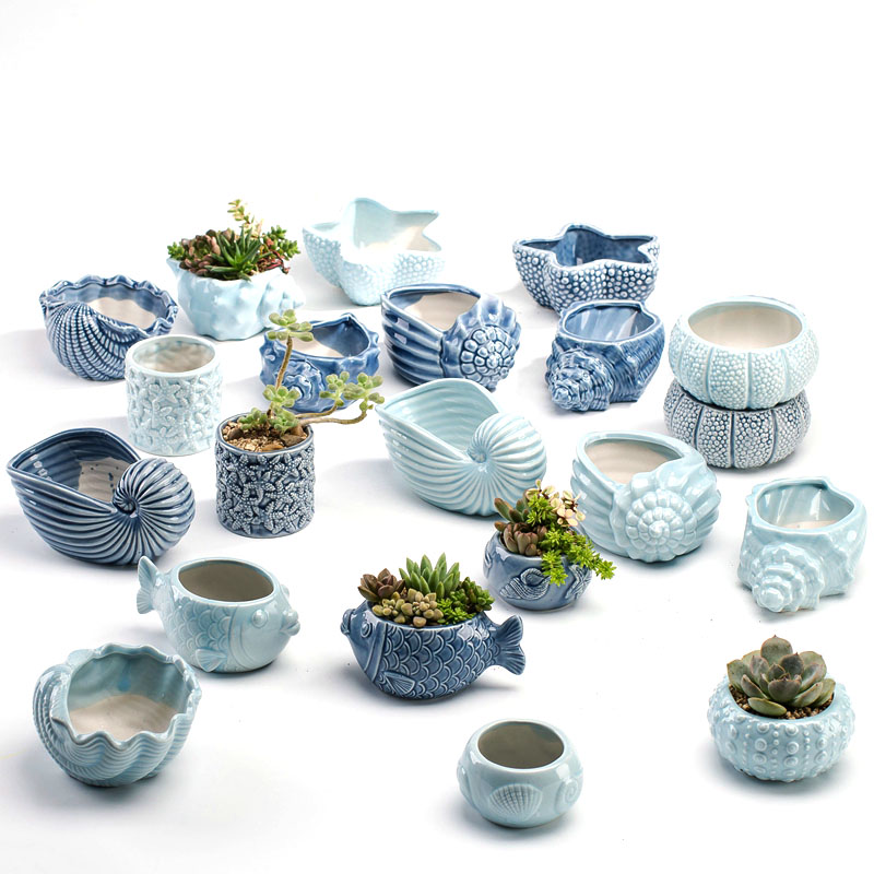 Maceta de Porcelana Azul con D - Bonsai Garden Europe reseña y precio