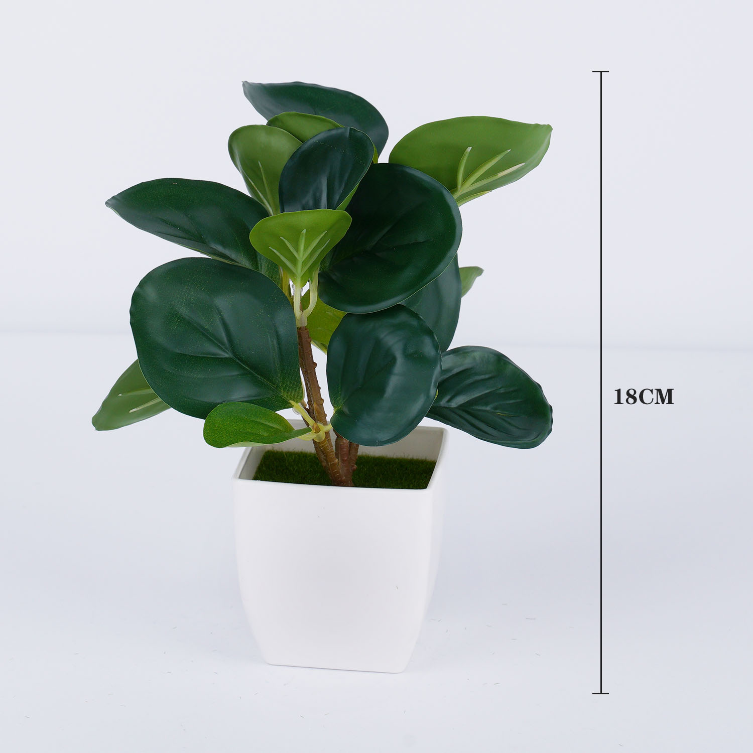 Plantas falsas bonsái, maceta  - Bonsai Repotting Mat reseña y precio