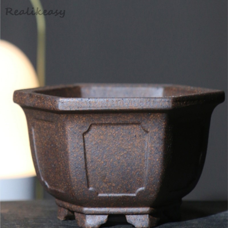 Maceta de arena púrpura, bonsá - Japanese Garden Bonsai reseña y precio